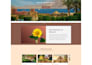 develop a professional custom website with full stack solutions